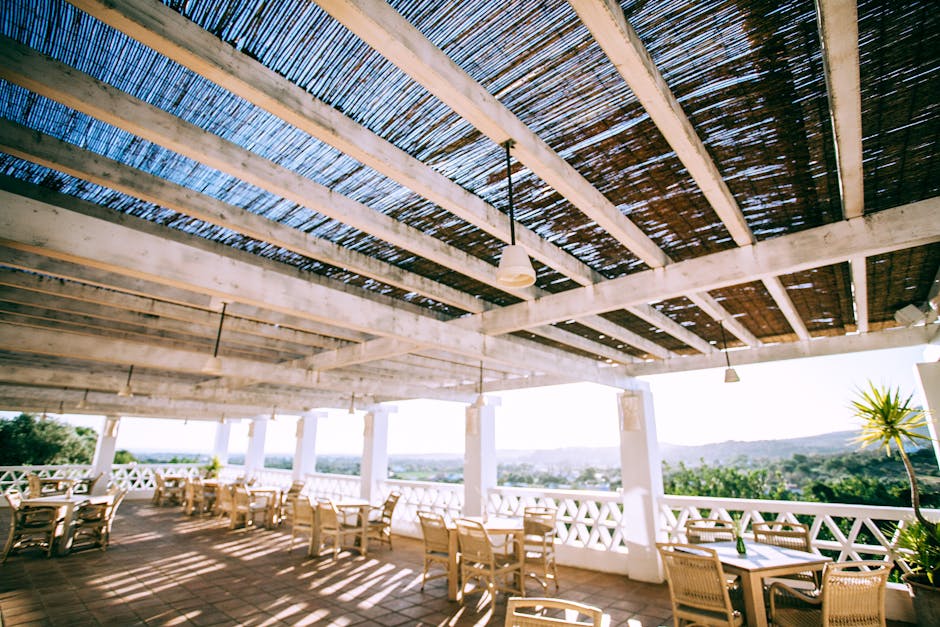 Cocktails frais et créatifs